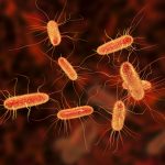 What You Shouldn’t Do When Filing An E Coli Claim